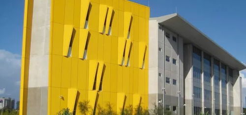 餐飲管理專業大學生的職場蛻變之路