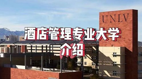 瑞士之外，頂尖酒店與餐飲管理專業院校推薦